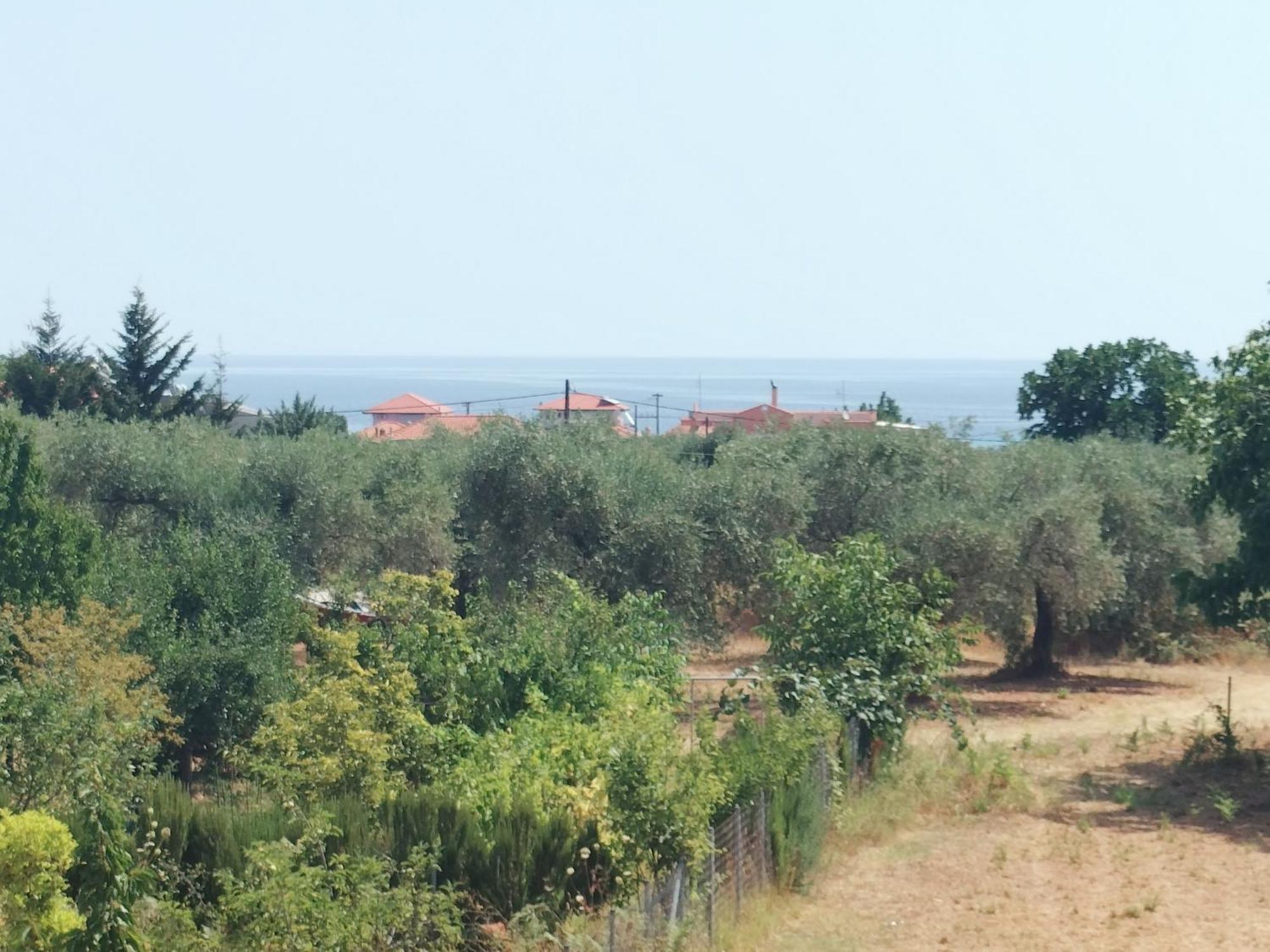 Anassa Deluxe Apartments & Studios Skala Potamia  Room photo